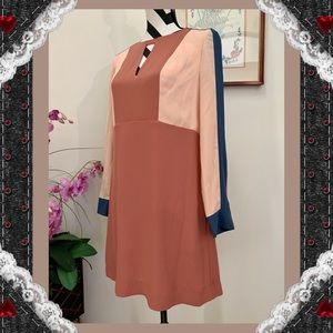 BCBGMaxazria Color Block Shift Dress